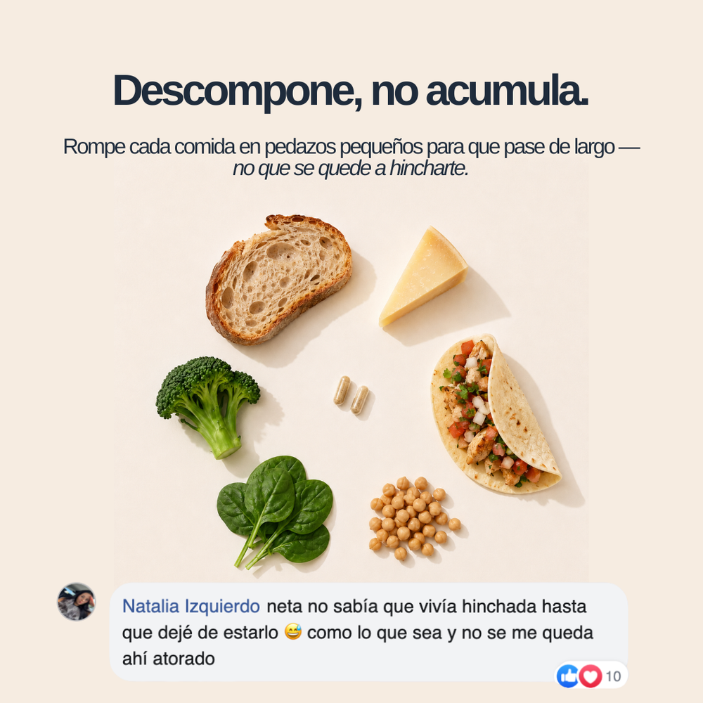 Enzimas Digestivas