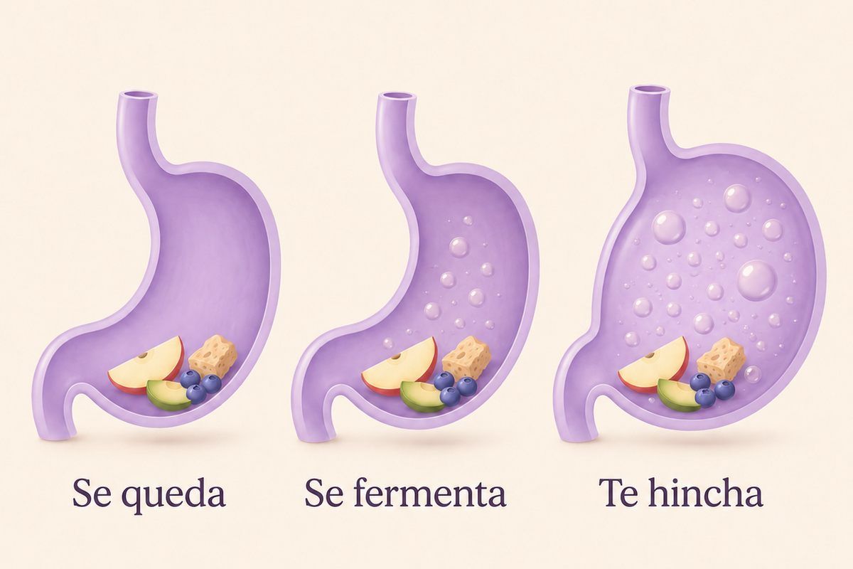 Diagrama: comida que se acumula durante el día